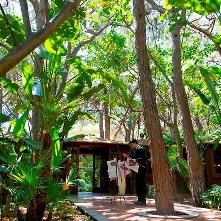 Village - Bouganville 호텔 4*